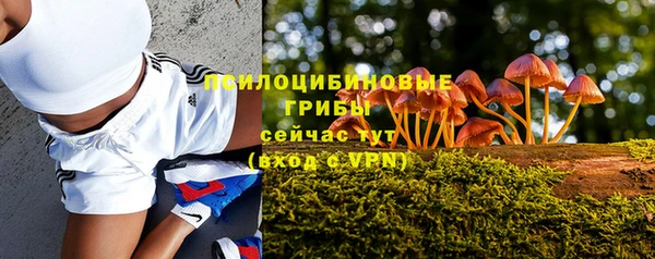 винт Володарск
