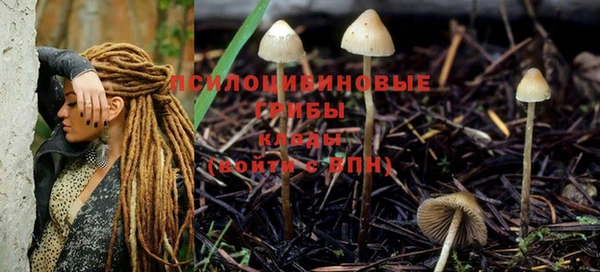 гидропоника Волосово