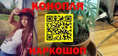 ПСИЛОЦИБИНОВЫЕ ГРИБЫ Заволжье