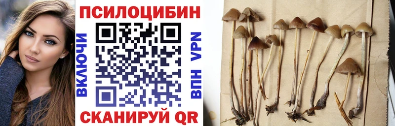 Галлюциногенные грибы Psilocybine cubensis  Минеральные Воды 