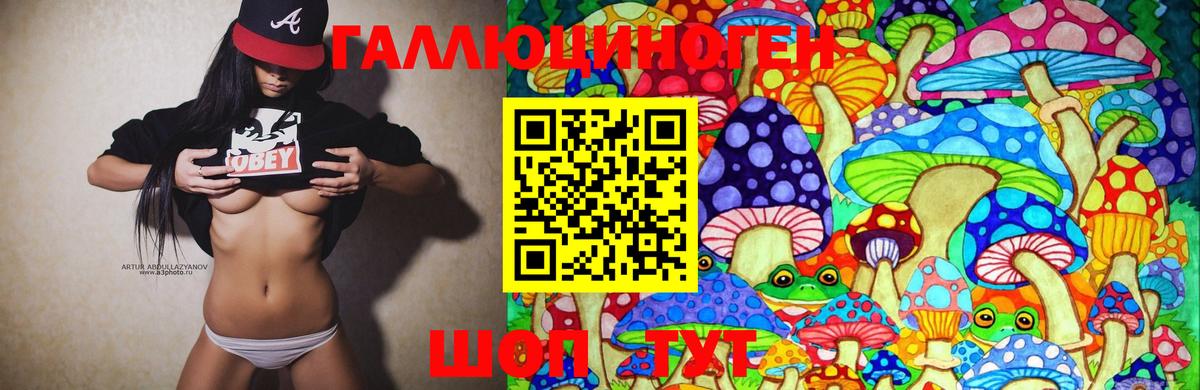 Галлюциногенные грибы GOLDEN TEACHER  Минеральные Воды 