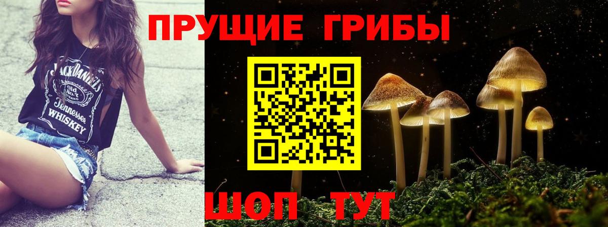 Галлюциногенные грибы Psilocybine cubensis  Вход с VPN  Минеральные Воды  Псилоцибиновые грибы Psilocybe 