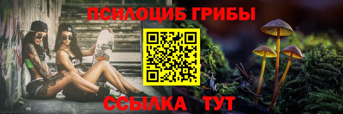 Псилоцибиновые грибы Psilocybine cubensis Минеральные Воды