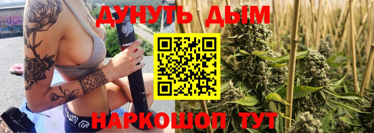 Шишки марихуана сатива  Шишки марихуана сатива  Вход с VPN  Конопля семена  Минеральные Воды 